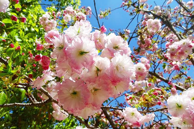 KY.COM|原创最近10年世界六大门将评选，排第一的这位实至名归(图2)