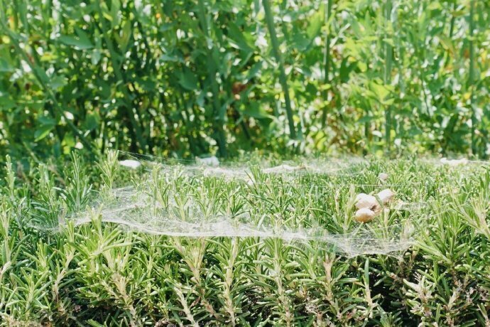 甘肃：天水市“两城”建设完成投资20多亿元|ky开元集团(图1)