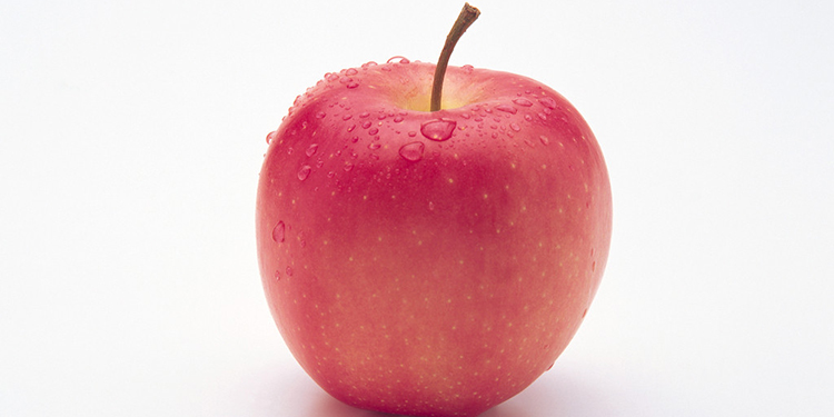 (09月03日)赤峰煤基清洁能源工业园在林西开工：ky开元集团(图3)