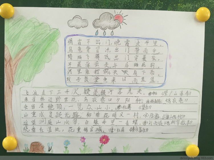 ‘KY.COM’青岛市启动建设森林城市工作(图1) ky开元集团