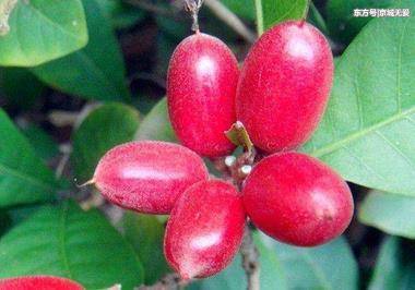 ky开元集团：都体：若蓝军不买断伊瓜因，尤文今夏将继续兜售他(图1)