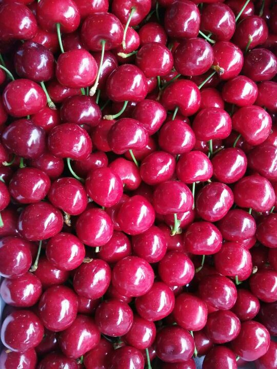 “ky开元集团”中国天辰工程有限公司渤化项目氧化反应器吊装*论证会成功召开(图1) “ky开元集团”中国天辰工程有限公司渤化项目氧化反应器吊装*论证会成功召开(图1)