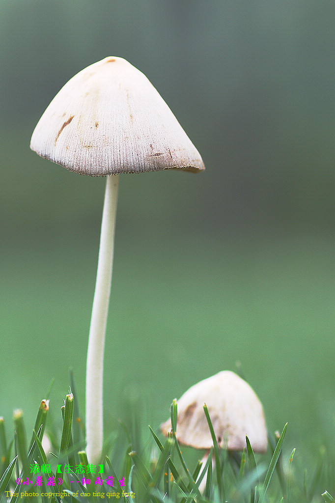 【ky开元集团】(07月28日)伊犁“贡煤”明年将变成天然气(图2)