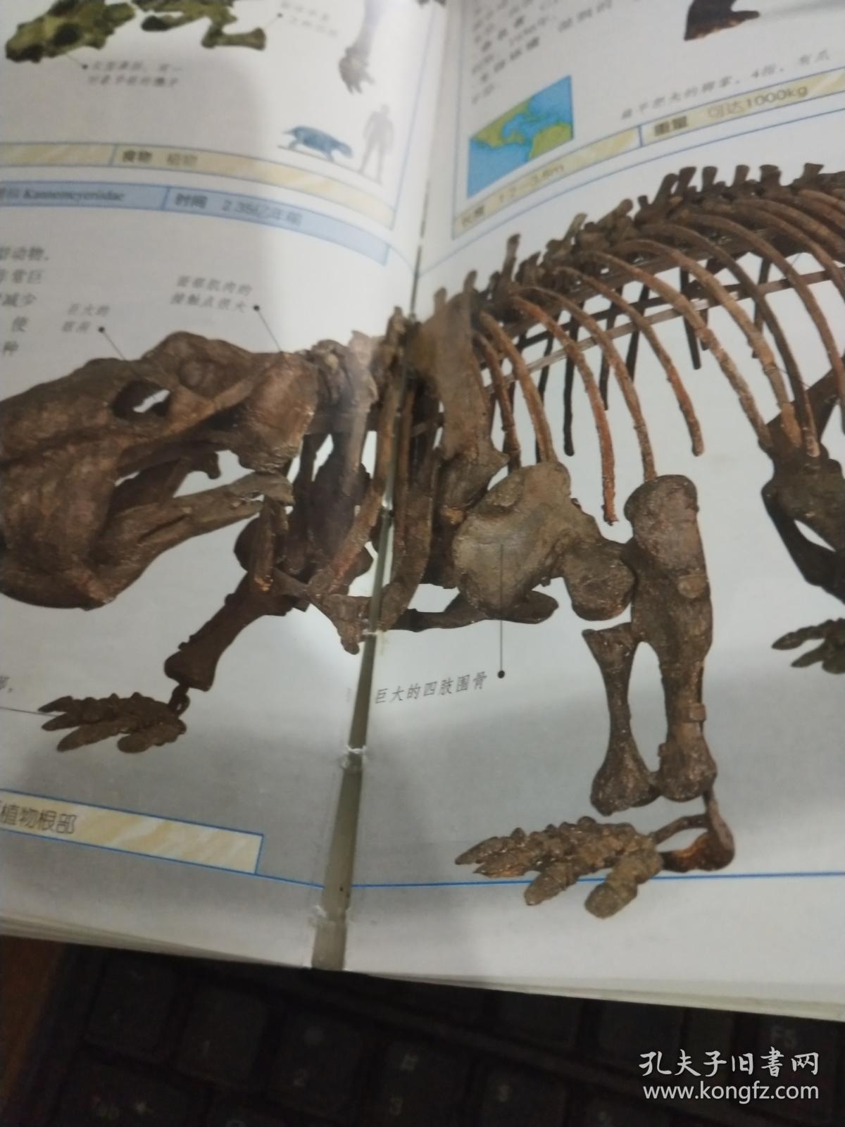 【kycom】尤文新赛季主场球衣发布 致敬经典独特衣领惹眼(图3) ky开元集团