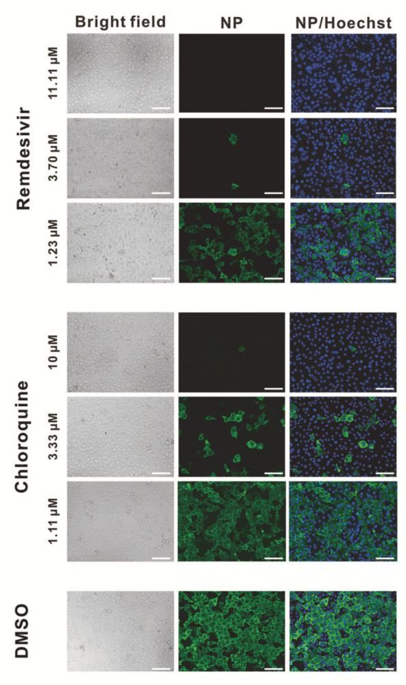 为满足线上传播需求，宜家推出白色动态“窗户”LOGO：kyc