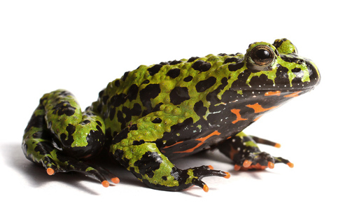 KY.COM_湖北23家化企查出安全隐患336项