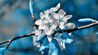 ky开元集团:
聊聊室内设计师这个行业!(图2) ky开元集团:
聊聊室内设计师这个行业!(图2)