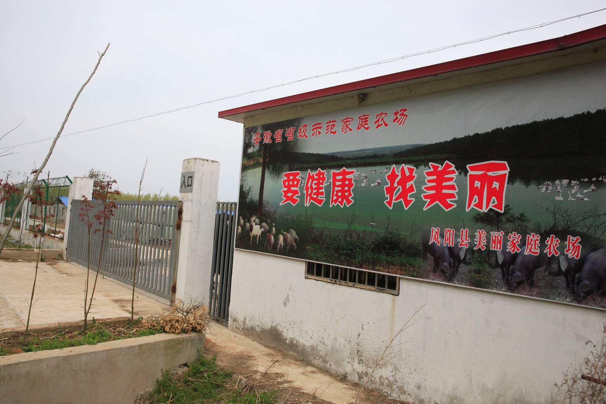 KY.COM：美国芝加哥玛丽巴特莫公园