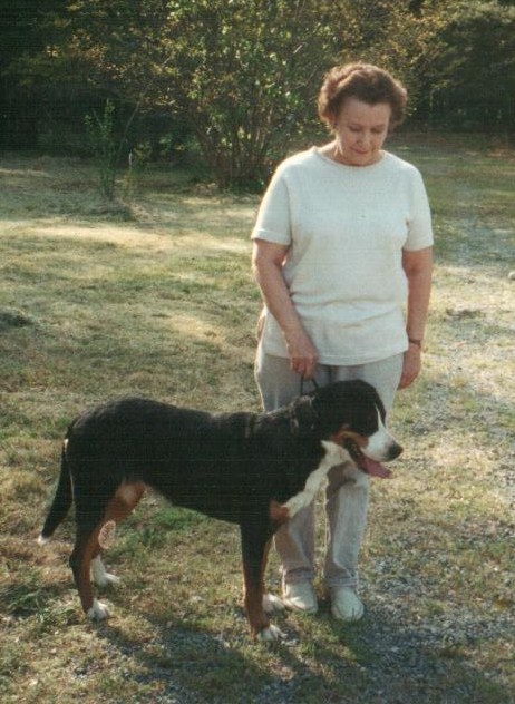 KY.COM_(05月07日)能源化工成为“稳投资”主力(图2)