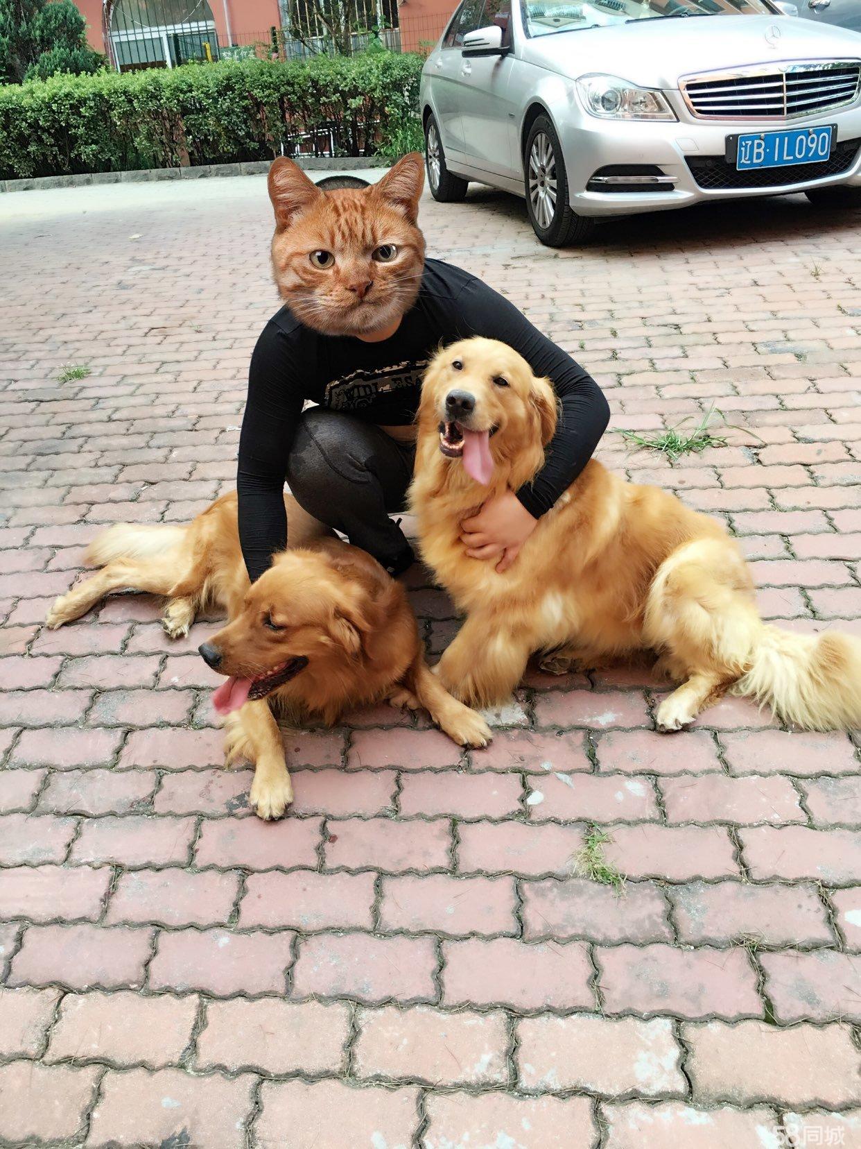 让视频制作变简朴?这几款APP助你一臂之力-ky开元集团(图3) 让视频制作变简朴?这几款APP助你一臂之力-ky开元集团(图3)