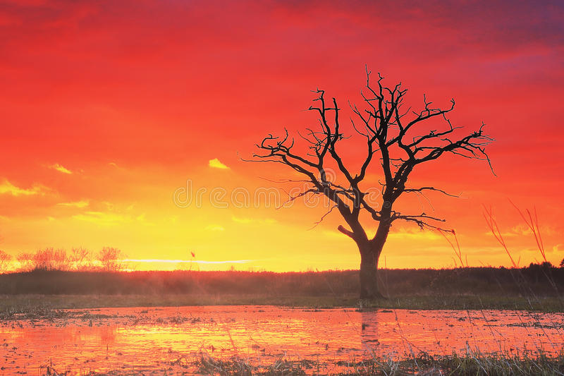 【KY.COM】
靖江那里有广告设计培训学校?靖江那里专业广告设计培训?(图1) ky开元集团