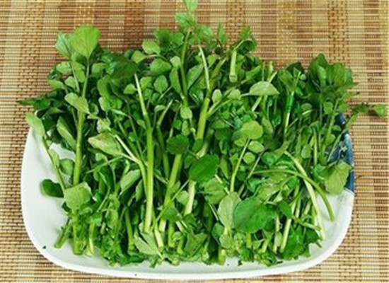 
意甲最新积分榜：国米欧冠资格关键战惨败 末轮死磕保级弱旅！‘kycom’(图2)