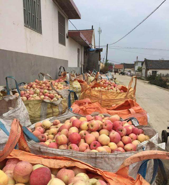 kycom|2030年漂浮在海面上的太阳能度假村(图1) ky开元集团