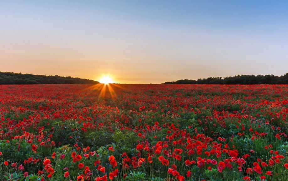 kycom-多纳多尼资本是救火经验上任首战就迎保级大战(图3)