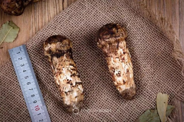 盘点英国足球九大历史巨星，小贝上榜，可谓星光璀璨‘ky开元集团’(图3)