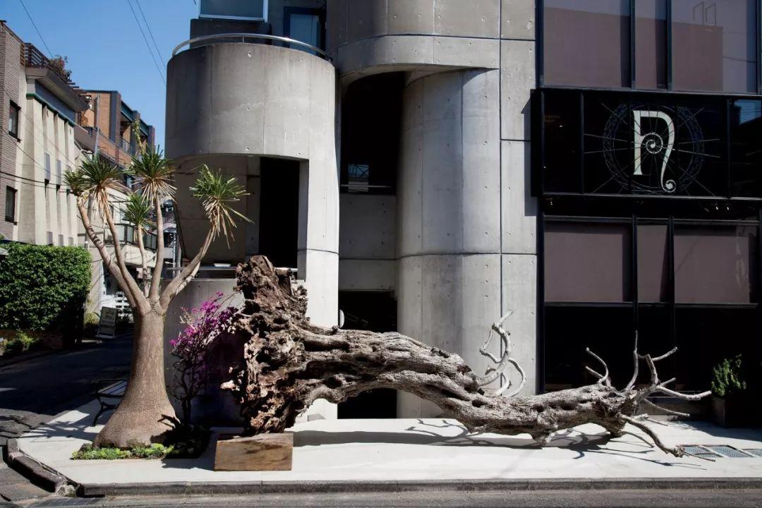 欧冠-博努奇妙传迪巴拉戴帽 尤文3-0豪取两连胜_ky开元集团(图1)