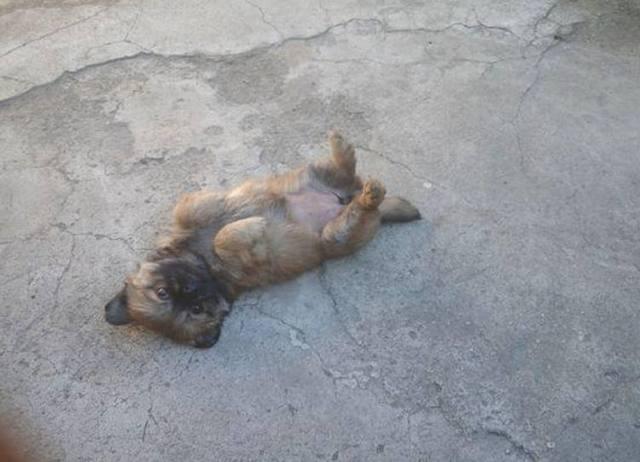 ‘KY.COM’石化产品价格今年总体将回落(图4)